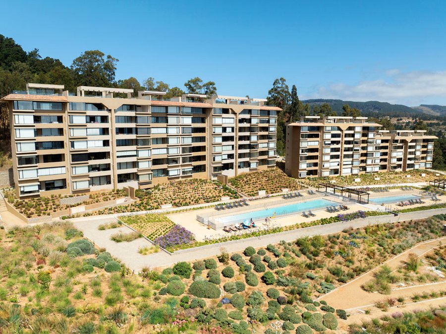 Paisajismo de bajo riego en Alto Quintay, Quintay — diseño y construcción de jardín por Dardel