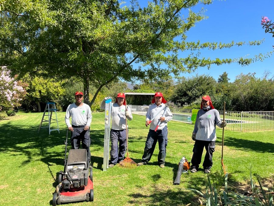 Equipo de jardineros de Dardel Paisajismo en mantención de jardín en Santiago