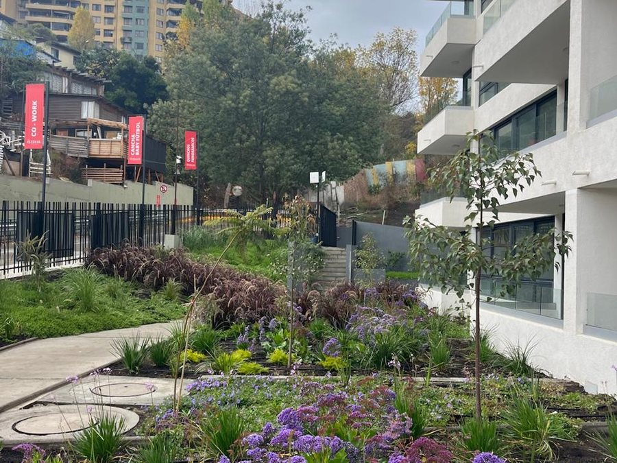 Jardín con flores moradas junto al edificio en Mira al Mar, Recreo
